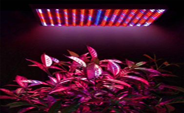 Led Grow Light Heat Sink